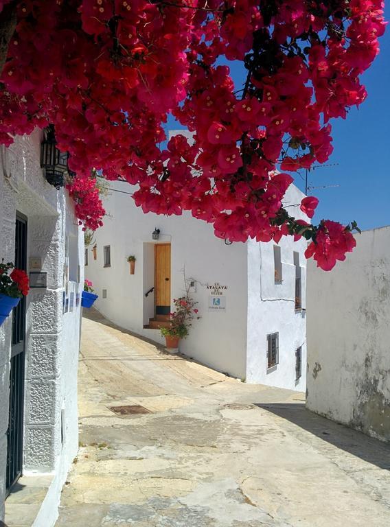 Holiday Home La Atalaya De Vejer Вьер де ла Фронтера Номер фото